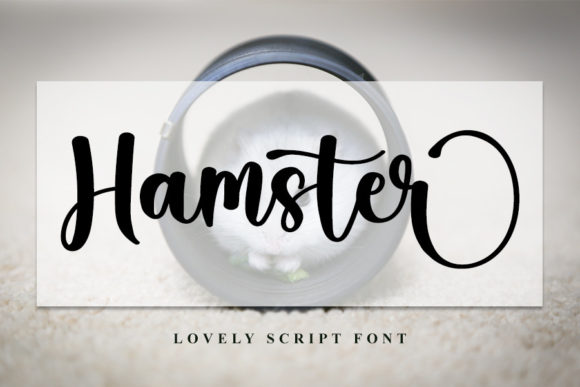 Enhance Your Brand with Hamster: A Stylish Script Font