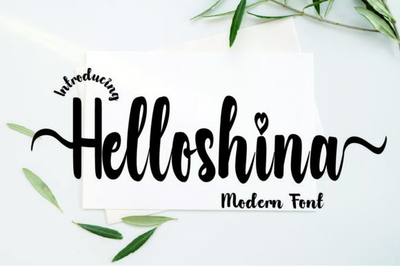 Enhance Your Brand with Helloshina Script Font