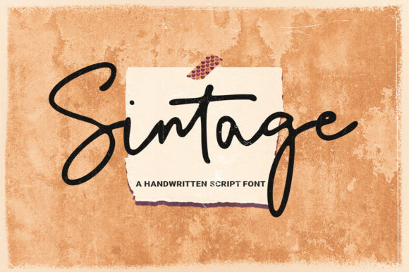 Exploring Sintage: A Versatile Script Font for Branding