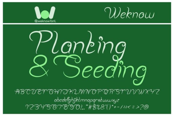 Planting and Seeding: A Versatile Script Font for Editorial Design