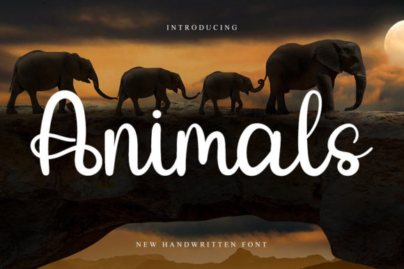 Transform Your Brand with Animals: A Stylish Handwritten Font